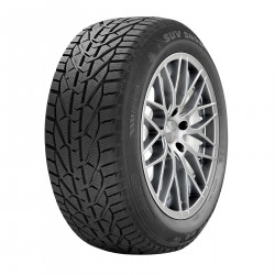  RIKEN 225/65 R17  SUV SNOW...